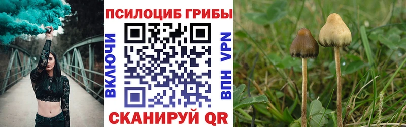 Псилоцибиновые грибы Psilocybine cubensis  Купить где  Котельнич 