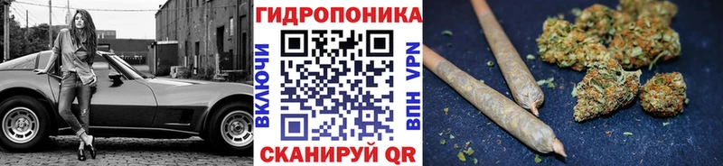 Бошки Шишки конопля Котельнич